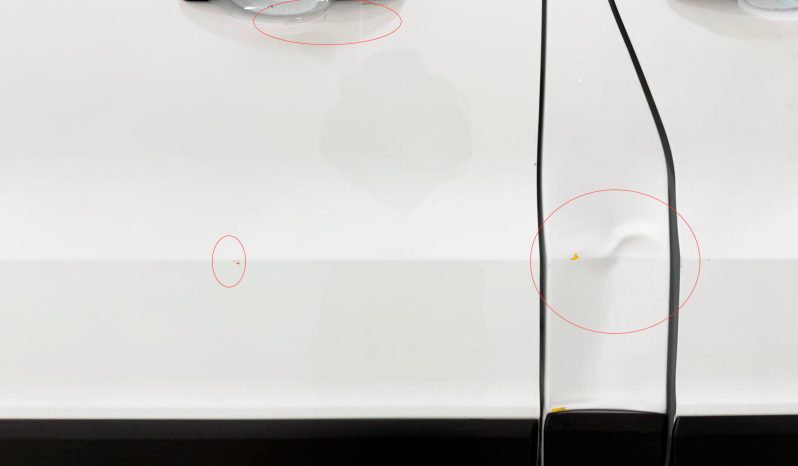 RENAULT TRAFIC BLUE DCI 110CV full