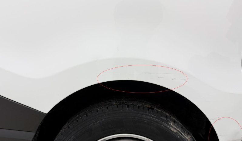 RENAULT TRAFIC BLUE DCI 110CV full